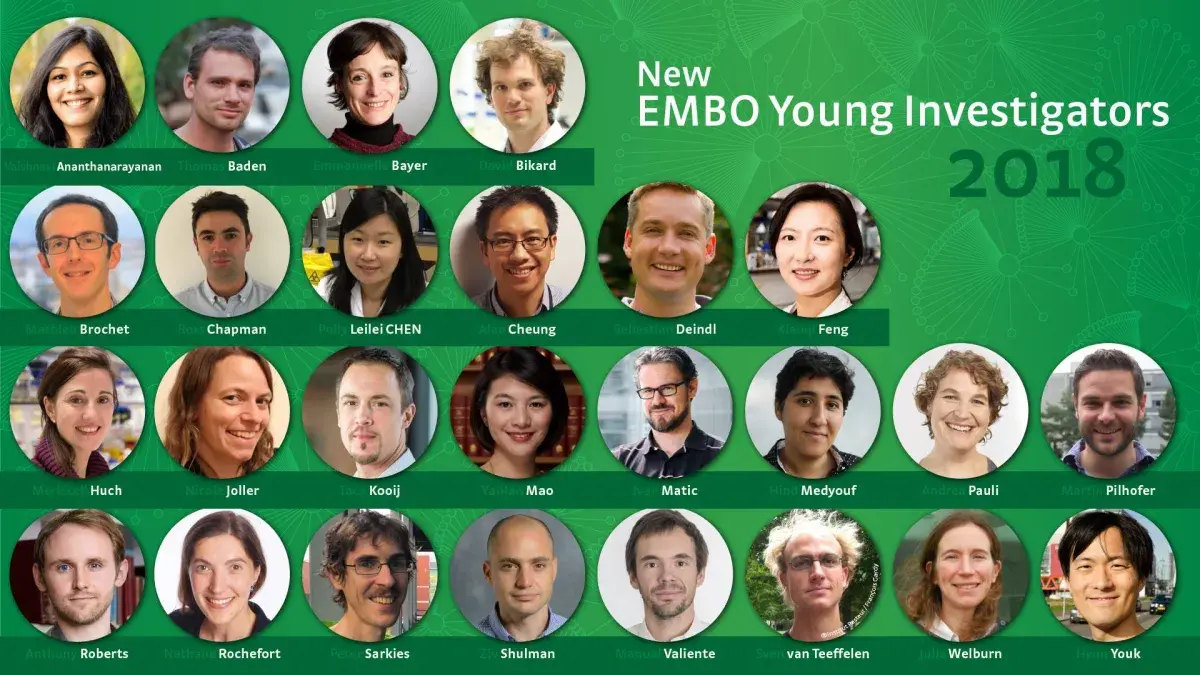EMBO