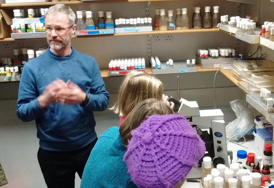 Looking at a fruit fly thorugh the microscope