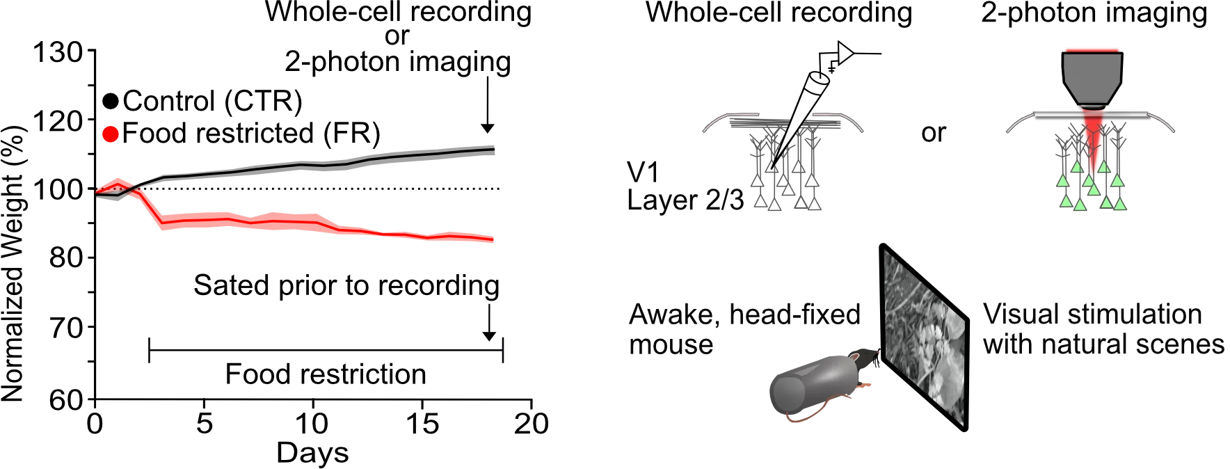 A screenshot of a computer