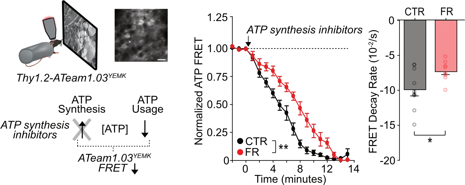 A picture containing text, dark