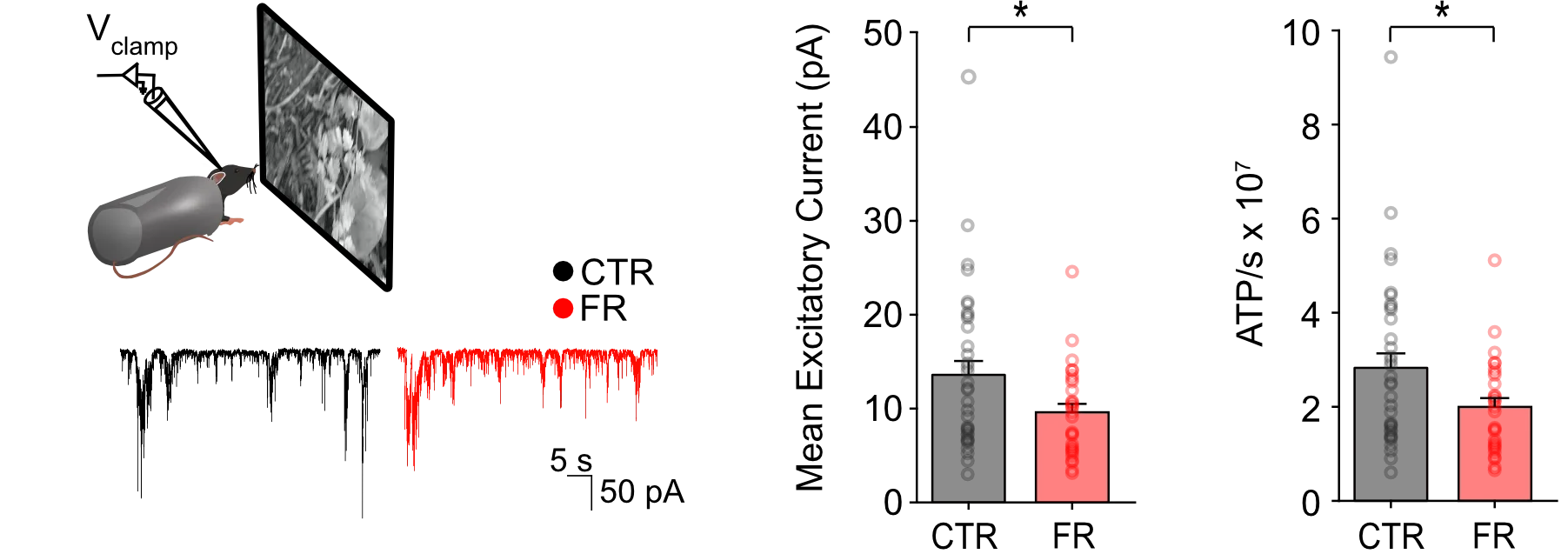 A screenshot of a video game