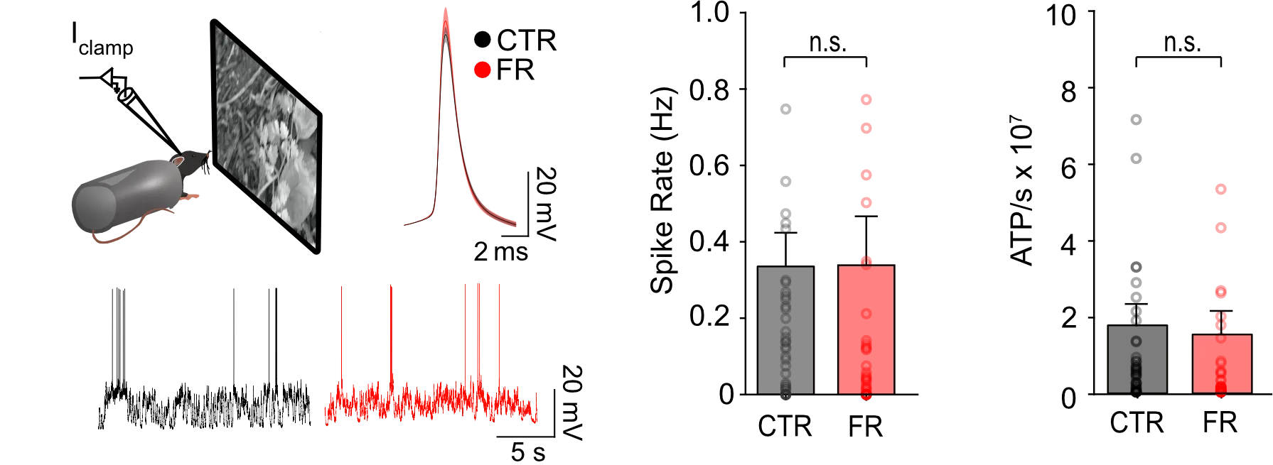 A picture containing text, dark, lit, light