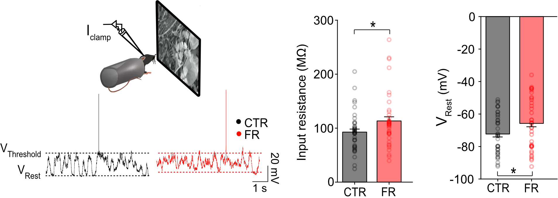 A screenshot of a video game