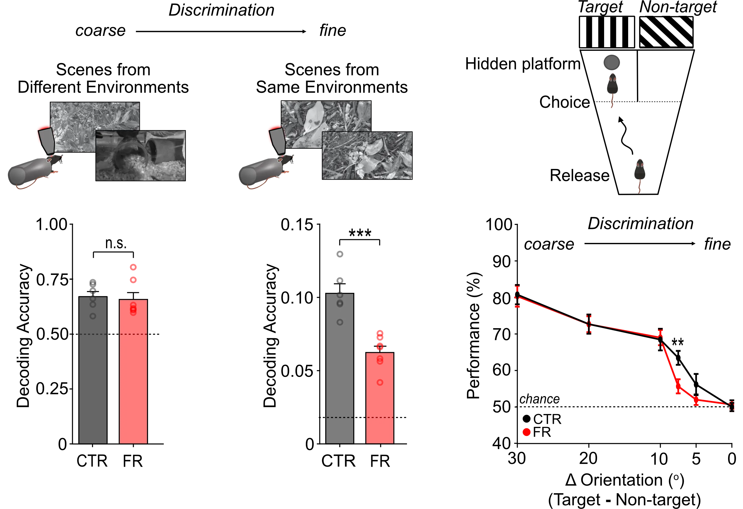 A screenshot of a computer