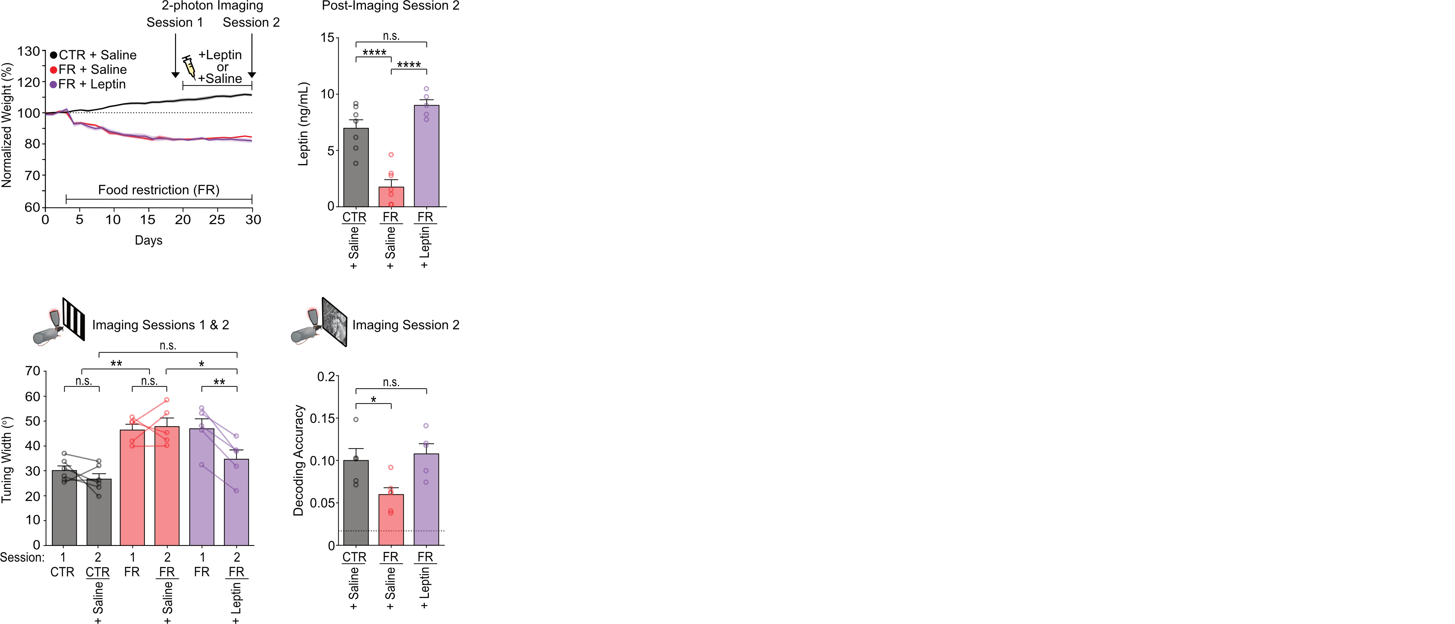 A picture containing graphical user interface