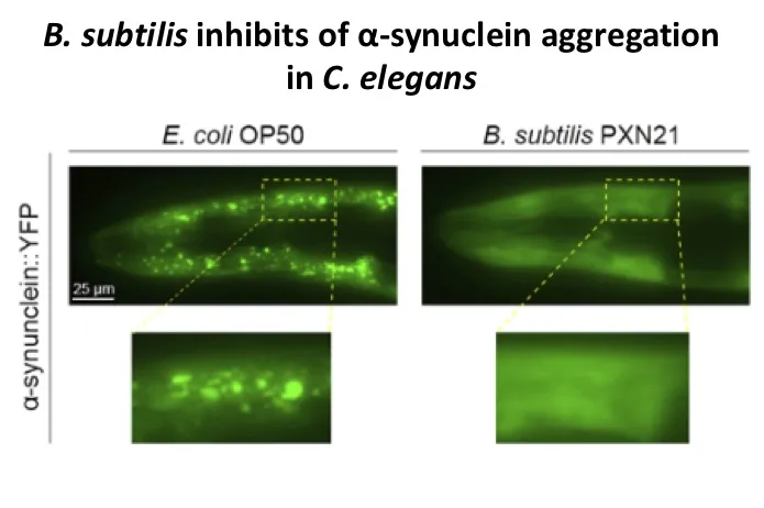 Maria Doitsidou Image 1 (small)