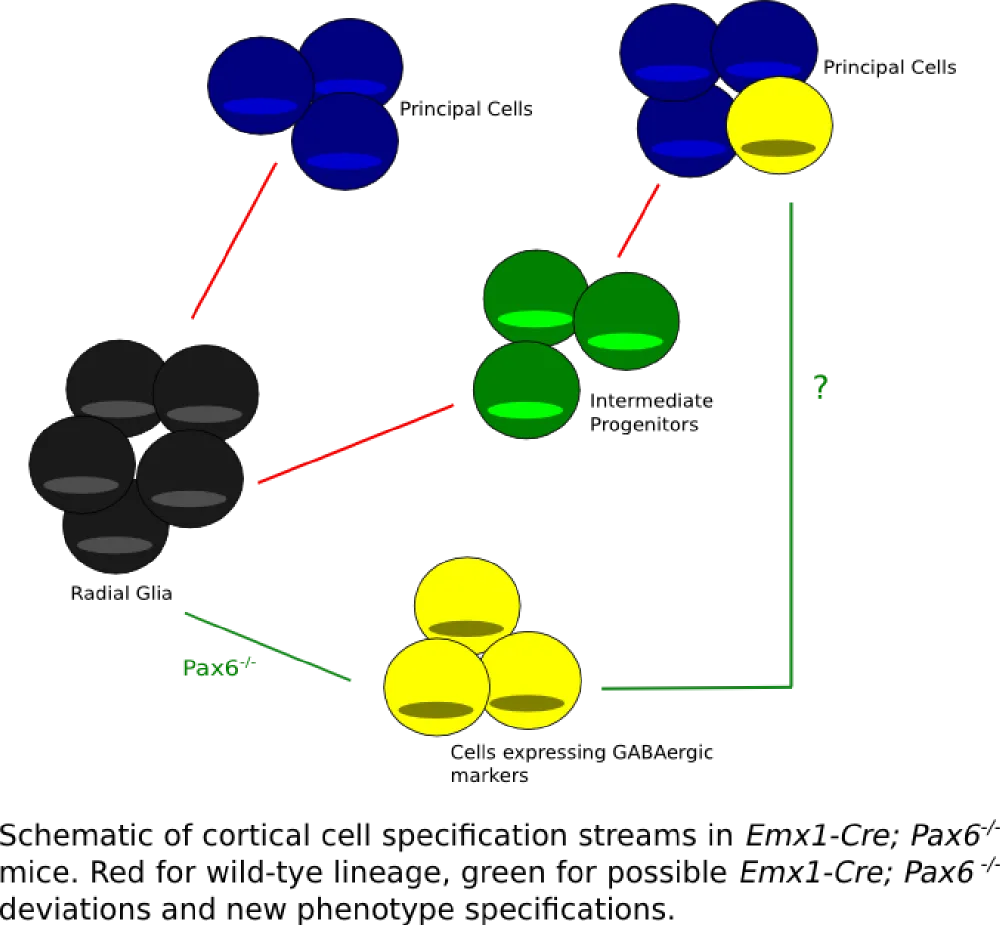 Figure1-lineagerg-TM