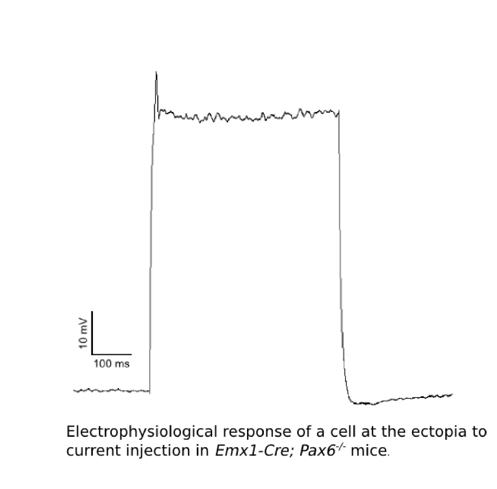 Figure2-trace