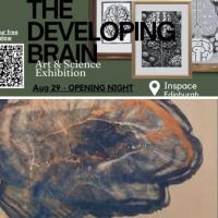 Poster for the developing brain