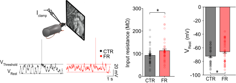 Neocortex Food Scarcity 6 A screenshot of a video game