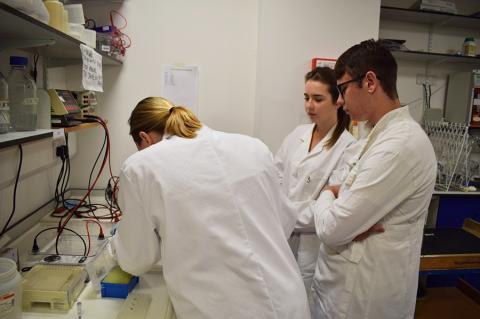 Science Insights CIP Science Insights - CIP lab experience