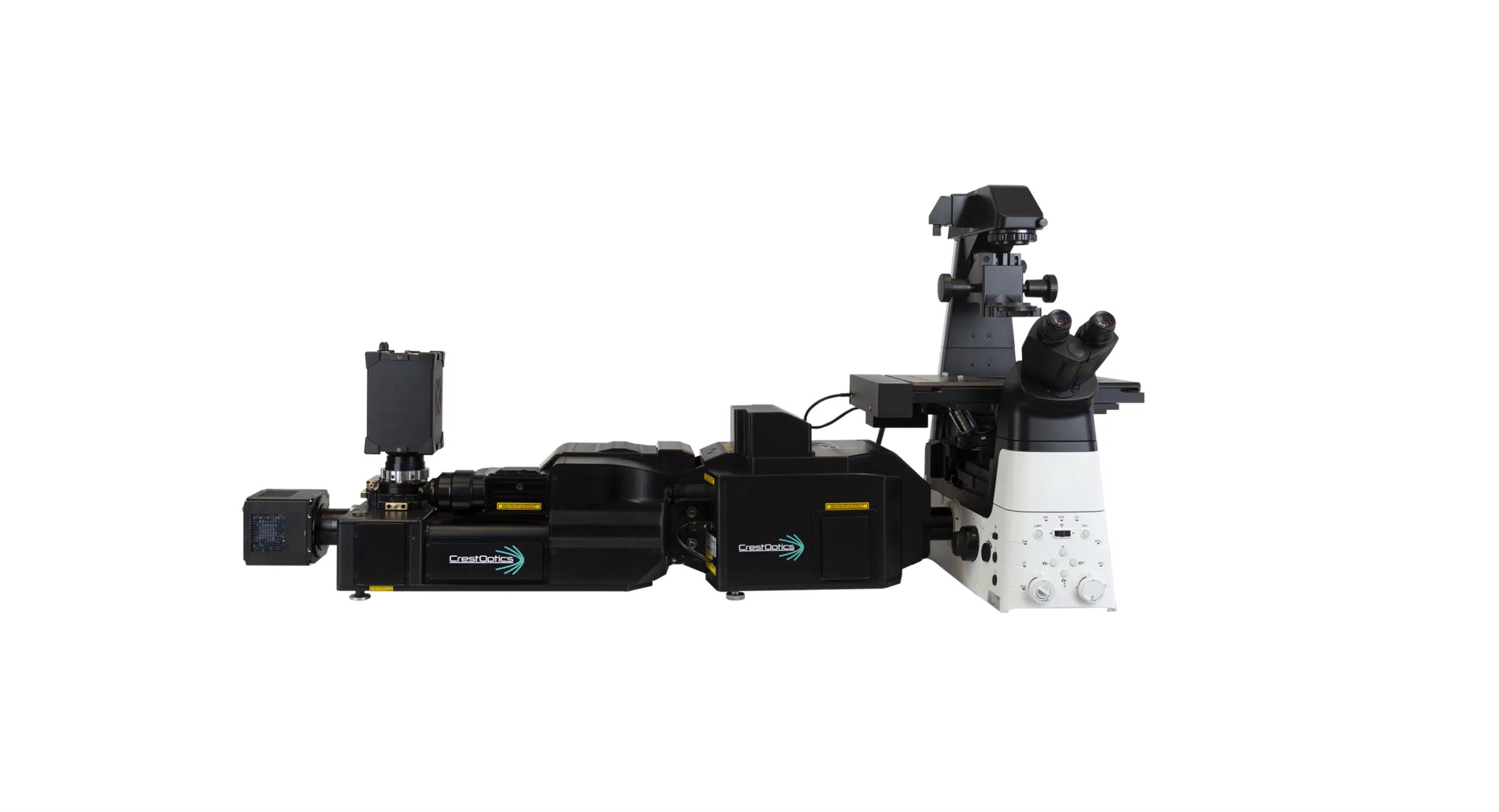 spinning disk confocal microscope 
