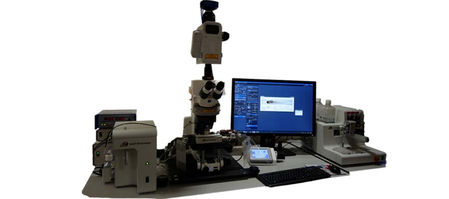 UK Zebrafish Imaging and Screening Facility | Centre for Discovery ...