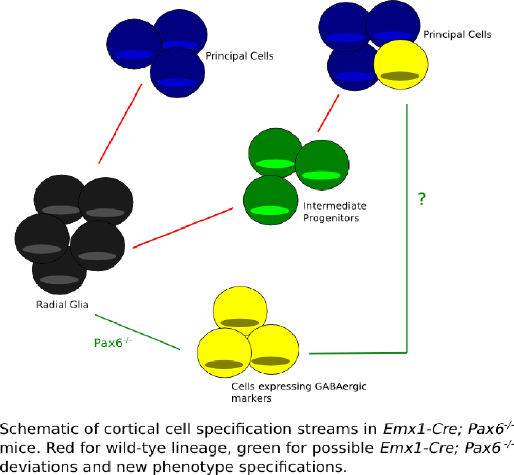 Figure1-lineagerg-TM